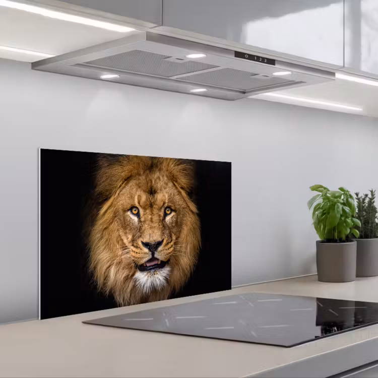 Fond de hotte - Lion - Portrait - Noir - Animaux — 1