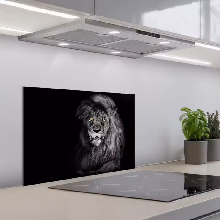 Fond de hotte - Lion - Yeux - Orange - Noir et blanc - Animaux - Portrait — 1