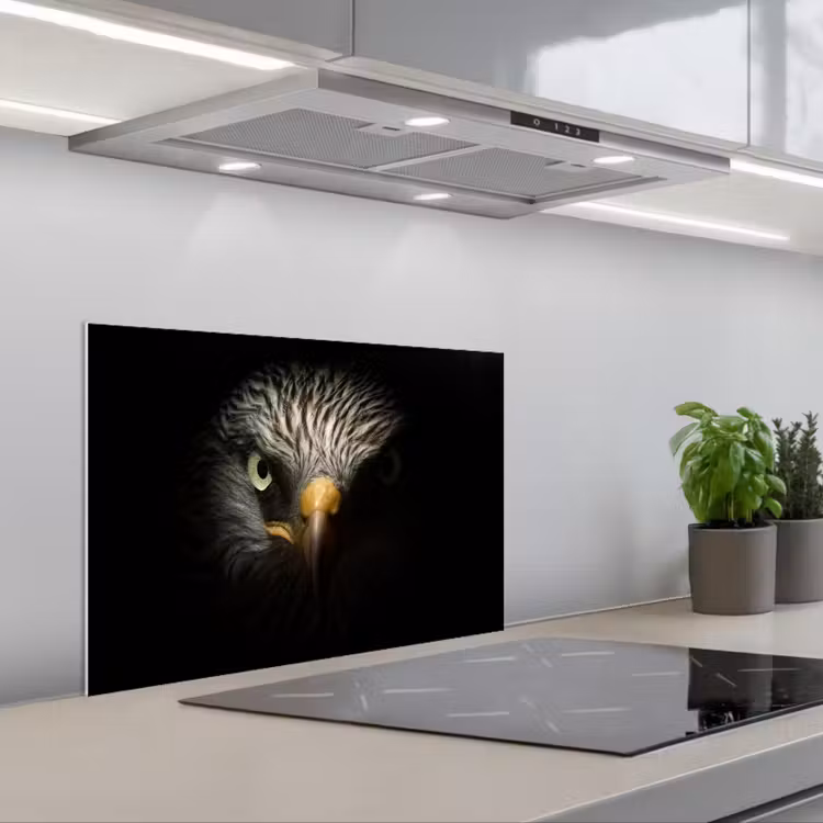 Fond de hotte - Oiseau - Aigle - Oiseaux de proie - Œil - Bec - Lumière — 1