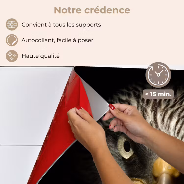 Fond de hotte - Oiseau - Aigle - Oiseaux de proie - Œil - Bec - Lumière — 4