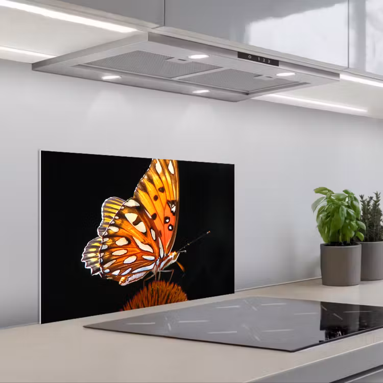 Fond de hotte - Papillon - Fleurs - Insecte - Portrait - Noir - Orange — 1