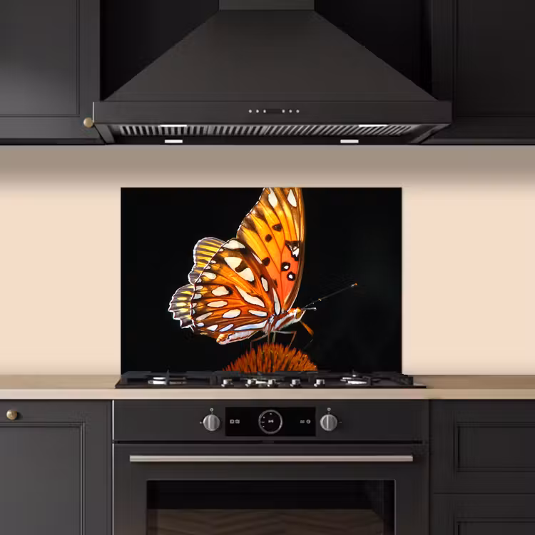 Fond de hotte - Papillon - Fleurs - Insecte - Portrait - Noir - Orange — 5