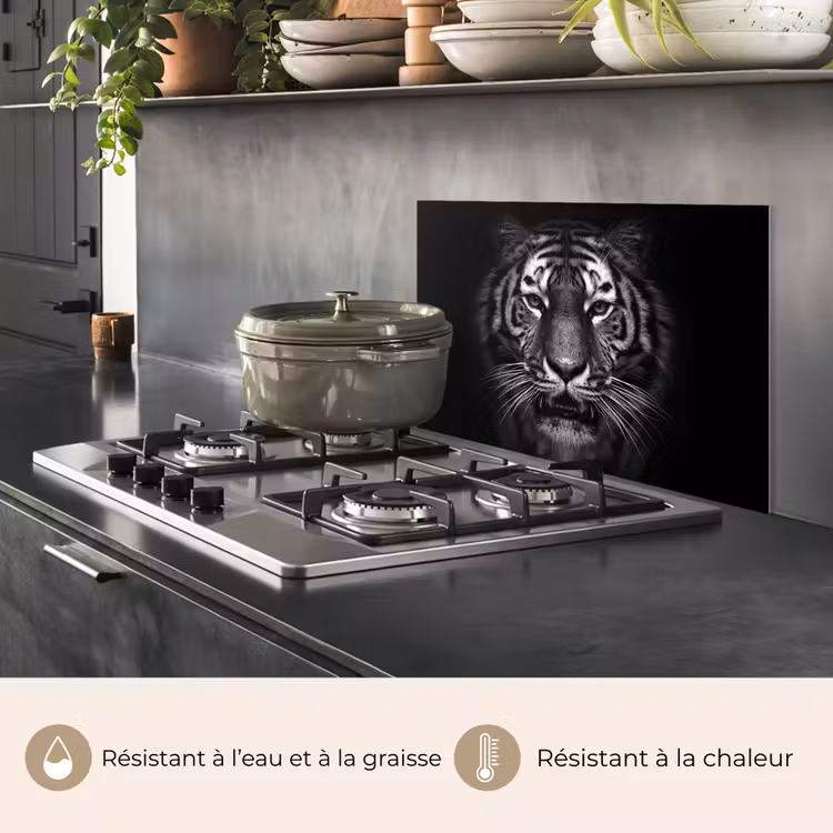 Fond de hotte - Tigre - Animaux - Noir - Blanc - Portrait - Sauvage — 2