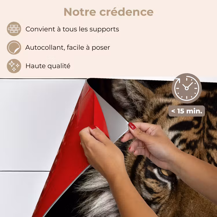 Fond de hotte - Tigre - Animaux sauvages - Portrait — 4