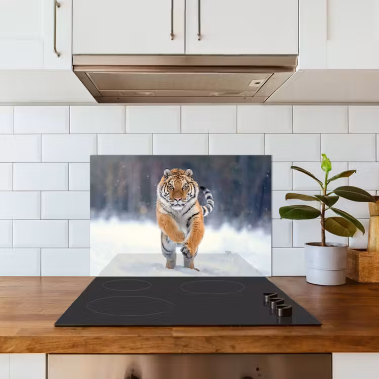 Fond de hotte - Tigre - Paysage - Neige - Animaux — 3