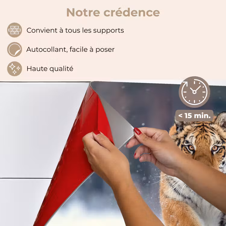 Fond de hotte - Tigre - Paysage - Neige - Animaux — 4