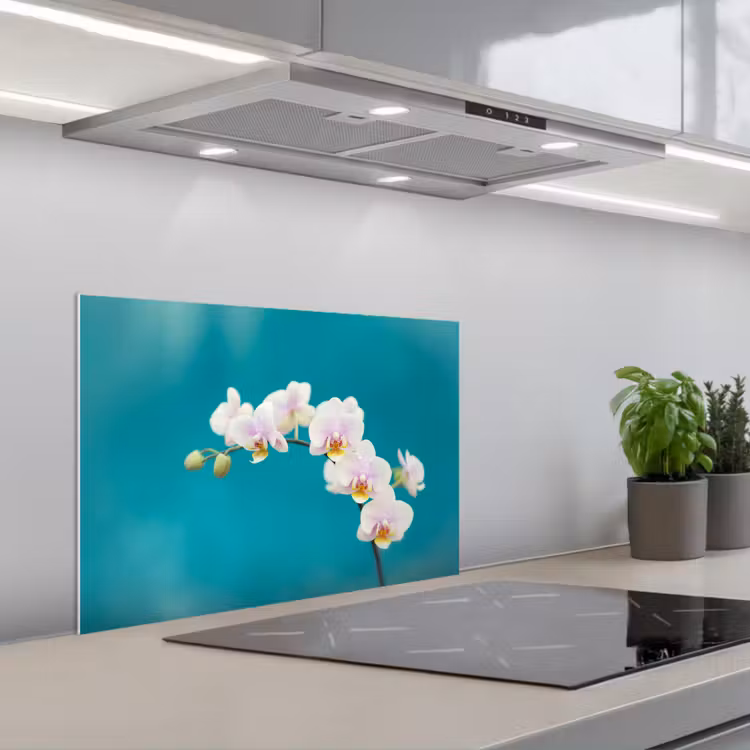Fond de hotte - Orchidée - Fleurs - Plante - Blanc - Violet — 1