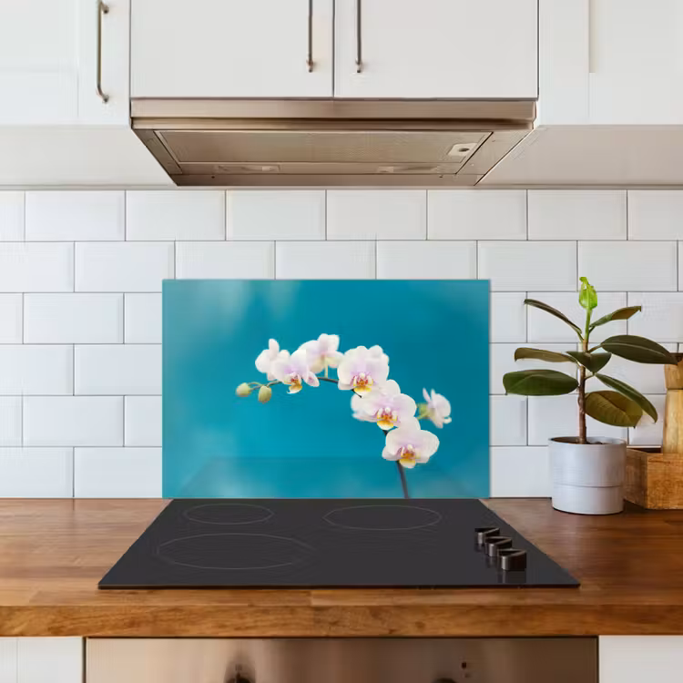 Fond de hotte - Orchidée - Fleurs - Plante - Blanc - Violet — 3