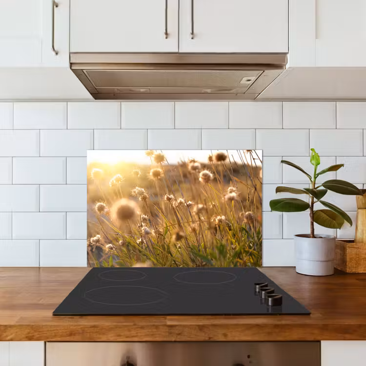 Fond de hotte - Plantes - Nature - Fleurs - Soleil - Horizon — 3