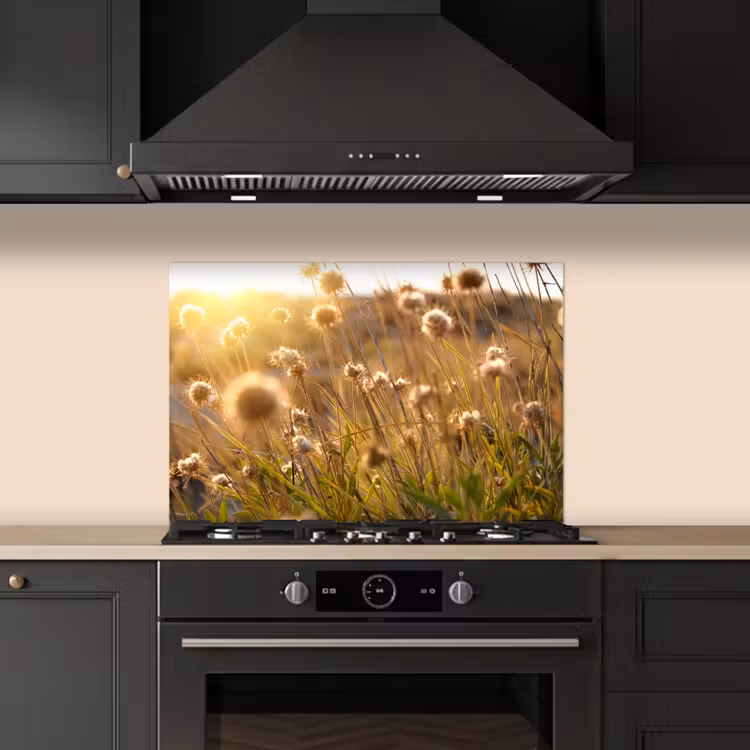 Fond de hotte - Plantes - Nature - Fleurs - Soleil - Horizon — 5