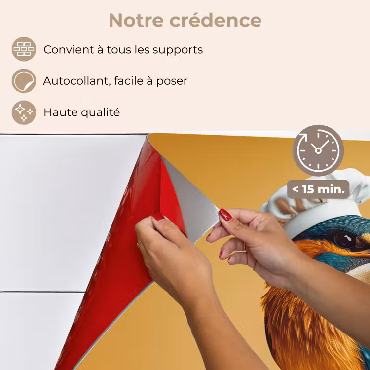 Fond de hotte - Martin-pêcheur - Pilier - Chapeau de cuisinier - Oiseau — 4