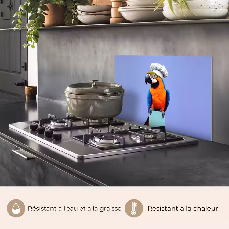 Fond de hotte - Perroquet - Chapeau de cuisinier - Oiseau - Amusement — 2