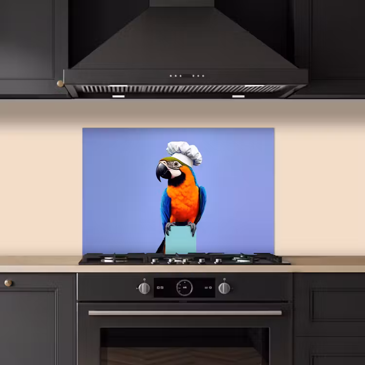 Fond de hotte - Perroquet - Chapeau de cuisinier - Oiseau - Amusement — 5