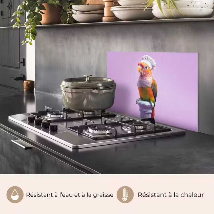 Fond de hotte - Perroquet - Chapeau de cuisinier - Pilier - Oiseau — 2