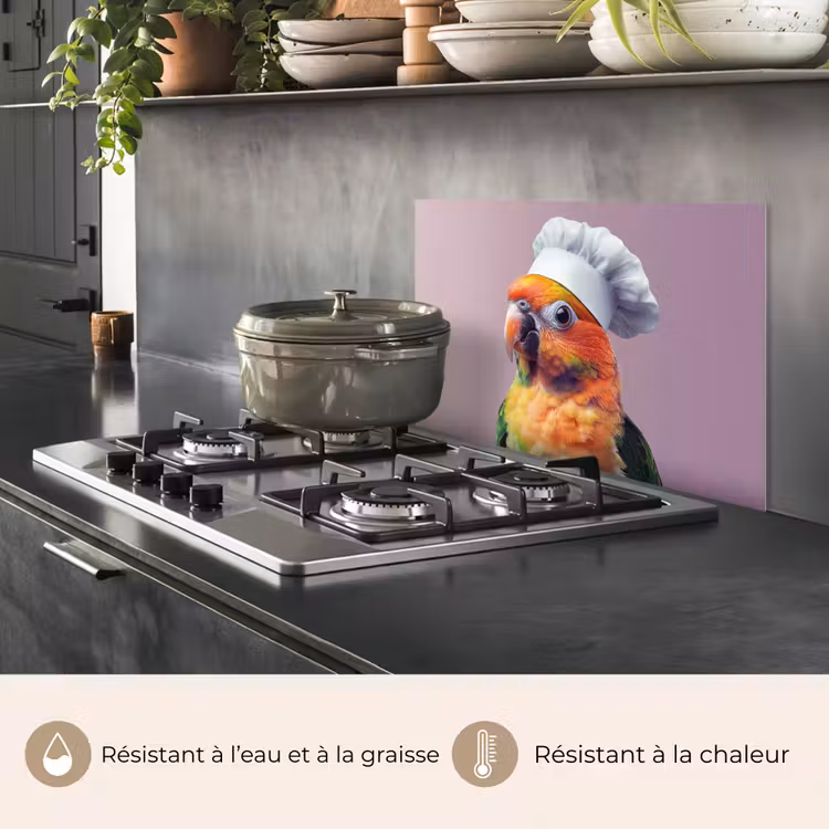 Fond de hotte - Perroquet - Toque - Curieux - Oiseau — 2