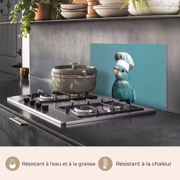 Fond de hotte - Perruche - Oiseau - Chapeau de cuisinier - Mignon — 2
