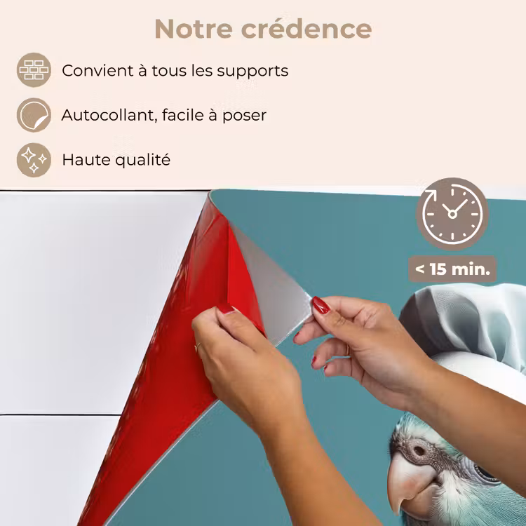 Fond de hotte - Perruche - Oiseau - Chapeau de cuisinier - Mignon — 4