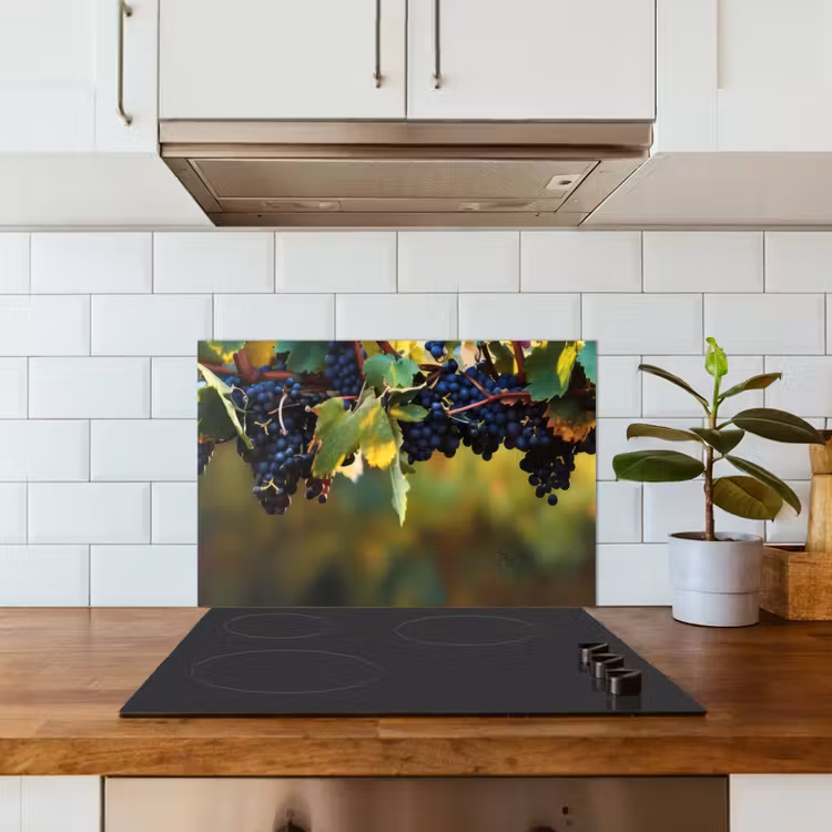 Fond de hotte - Raisins - Vin - Nature - Vert — 3