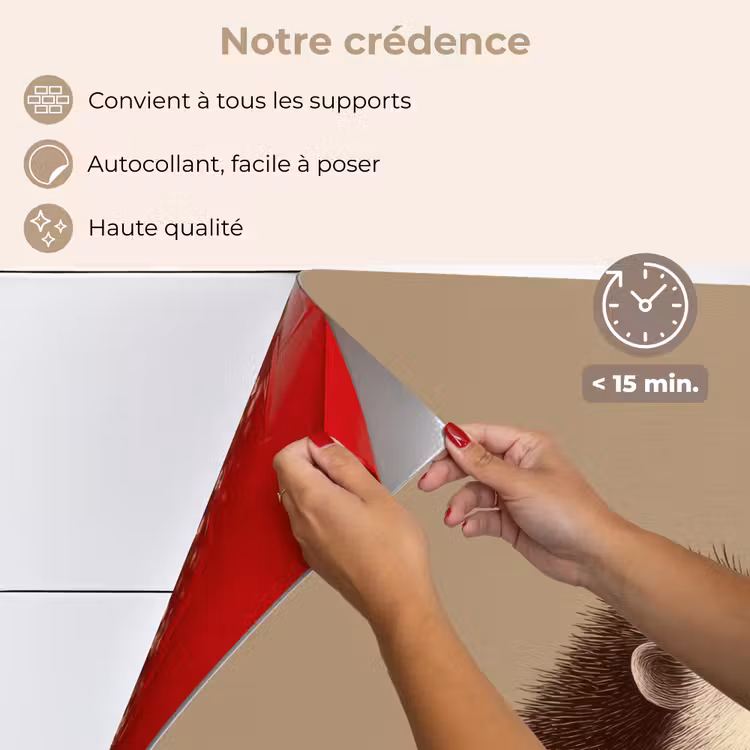 Fond de hotte - Hérisson - Museau - Marron - Epines — 4
