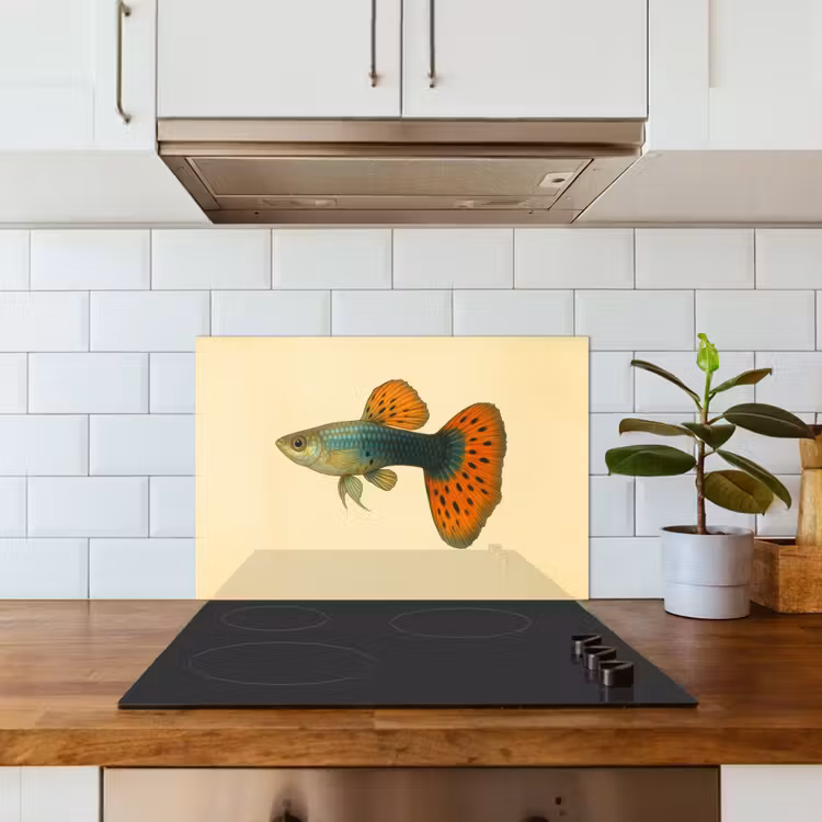 Fond de hotte - Poisson - illustration - Points - Orange — 3