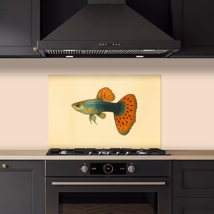 Fond de hotte - Poisson - illustration - Points - Orange — 5