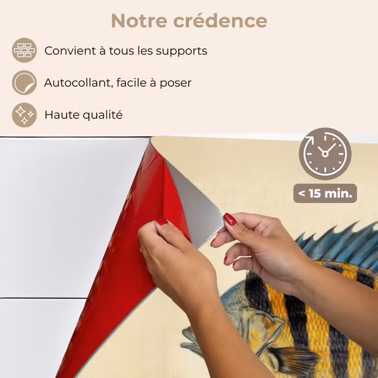 Fond de hotte - Poissons - Tropicaux - Rayures - Nageoires — 4
