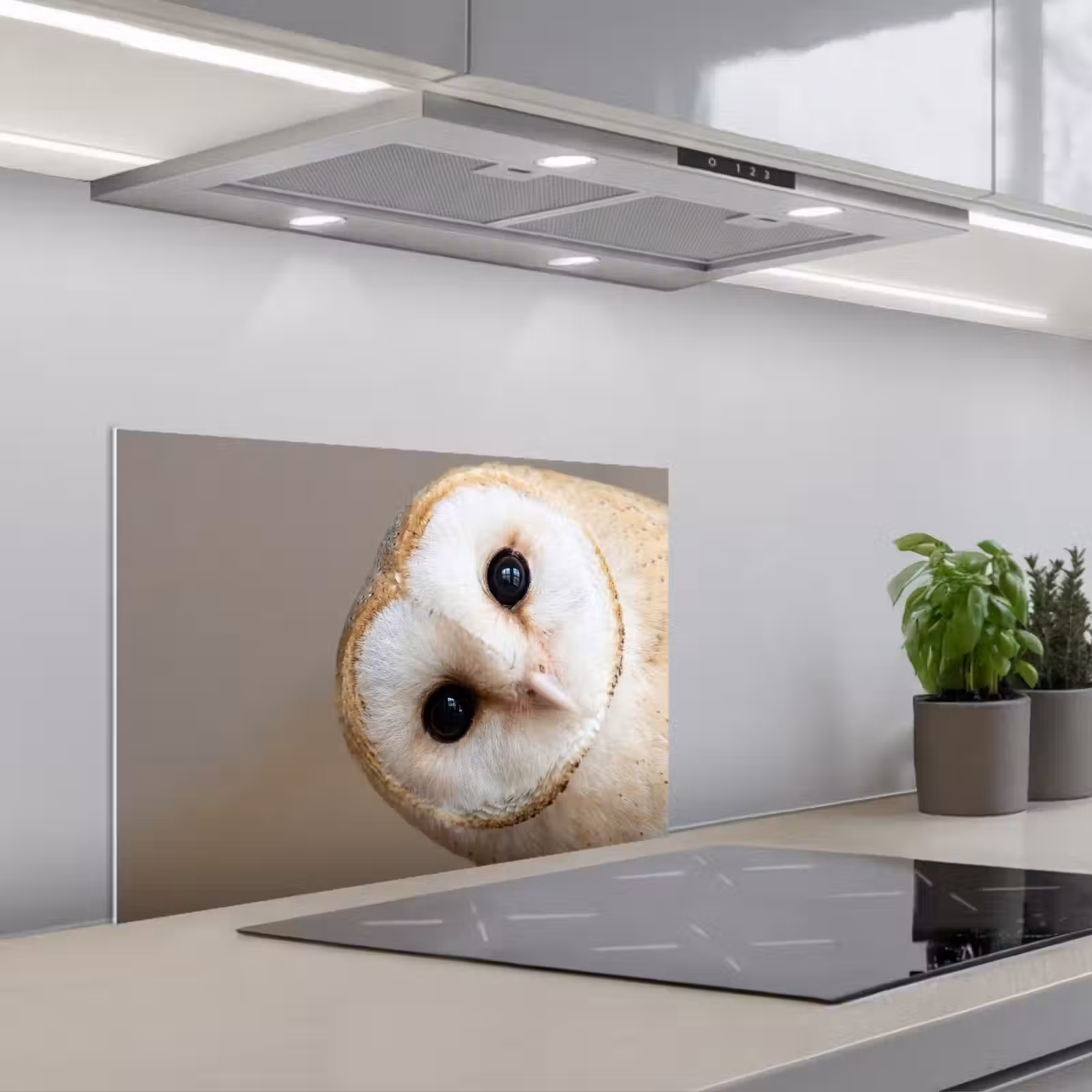 Fond de hotte - Hibou - Marron - Blanc — 1