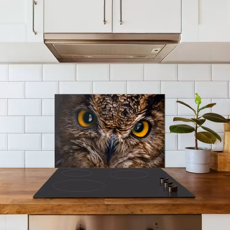 Fond de hotte - Hibou - Animal - Orange — 3