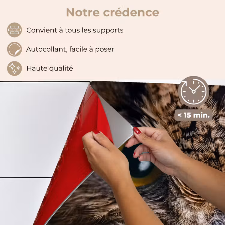 Fond de hotte - Hibou - Animal - Orange — 4