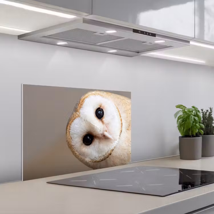 Fond de hotte - Hibou - Marron - Blanc — 1