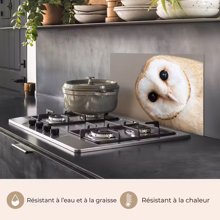 Fond de hotte - Hibou - Marron - Blanc — 2