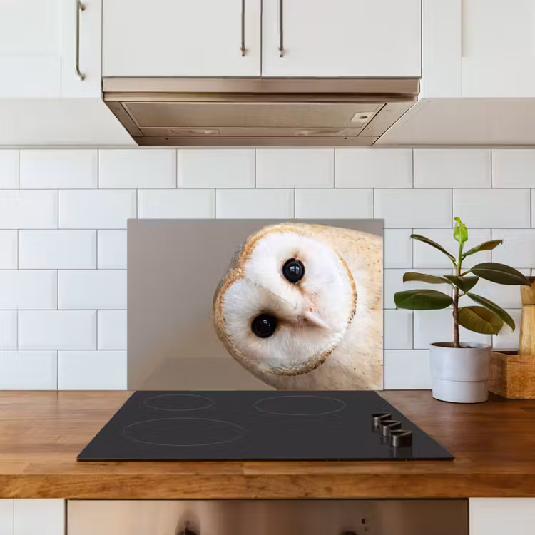 Fond de hotte - Hibou - Marron - Blanc — 3
