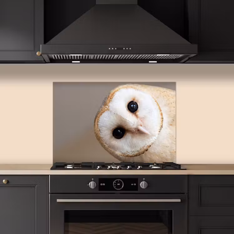 Fond de hotte - Hibou - Marron - Blanc — 5