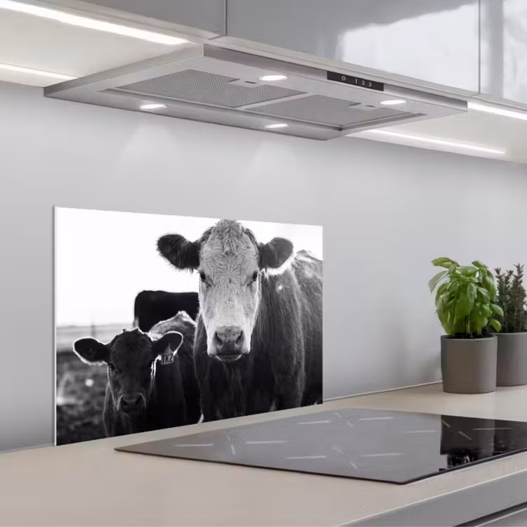 Fond de hotte - Vaches - Noir et blanc — 1