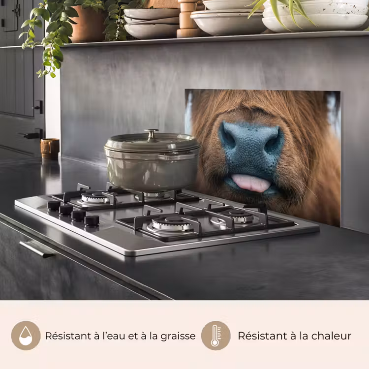 Fond de hotte - Highlander écossais - Nez - Marron — 2