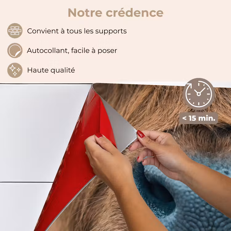Fond de hotte - Highlander écossais - Nez - Marron — 4