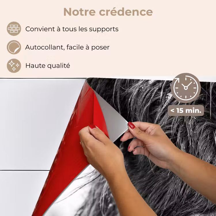 Fond de hotte - Highlander écossais - Noir - Blanc - Flocons de neige — 4