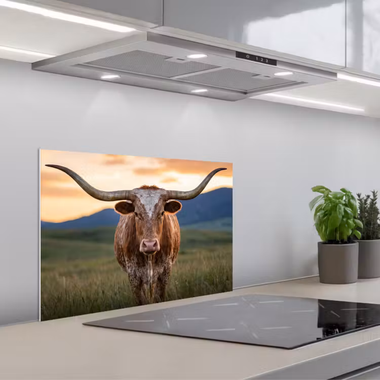 Fond de hotte - Longhorn - Paysage - Coucher de soleil — 1