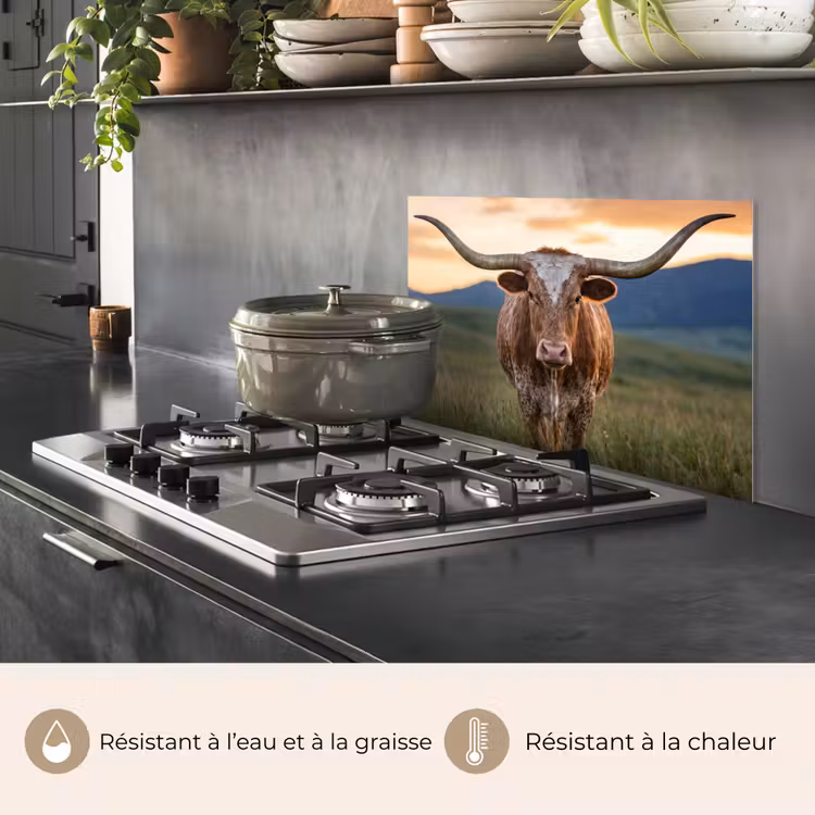 Fond de hotte - Longhorn - Paysage - Coucher de soleil — 2