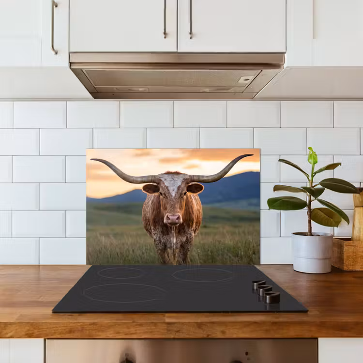 Fond de hotte - Longhorn - Paysage - Coucher de soleil — 3