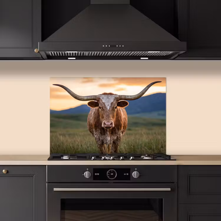 Fond de hotte - Longhorn - Paysage - Coucher de soleil — 5