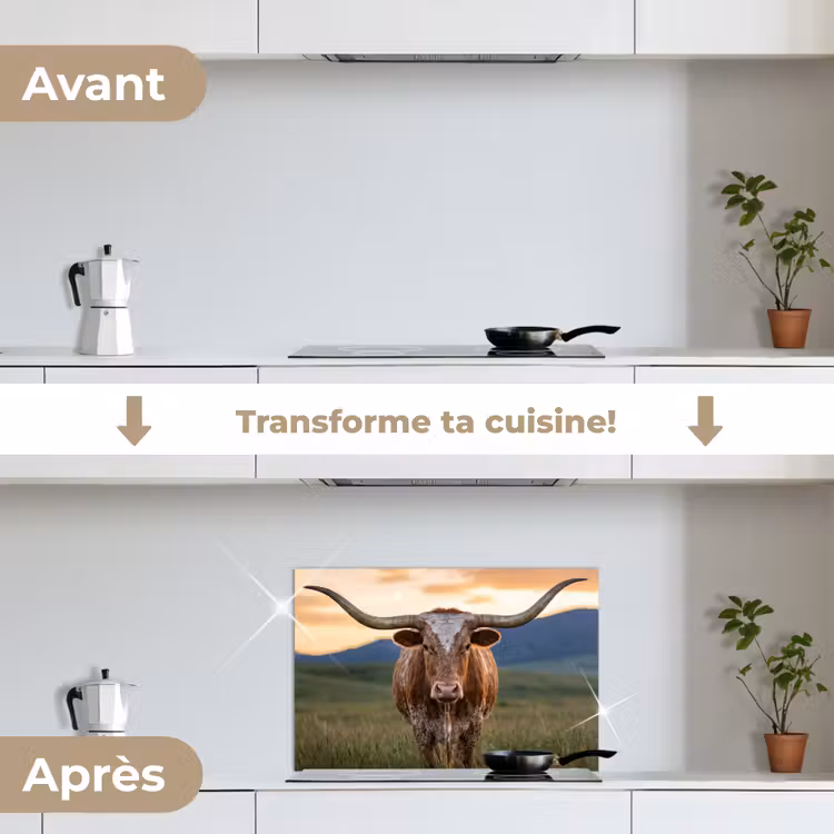 Fond de hotte - Longhorn - Paysage - Coucher de soleil — 7