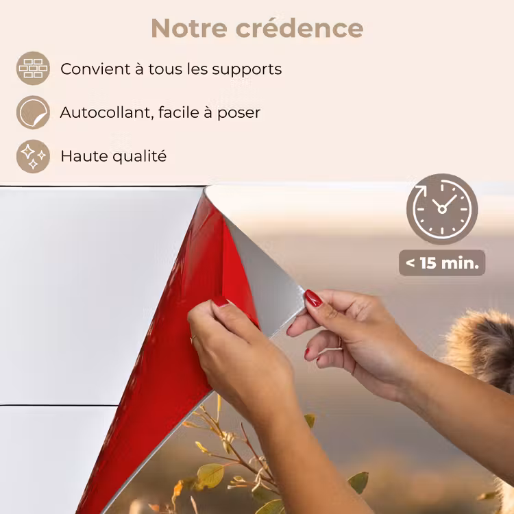 Fond de hotte - Koala - Feuilles - Lumière du matin — 4