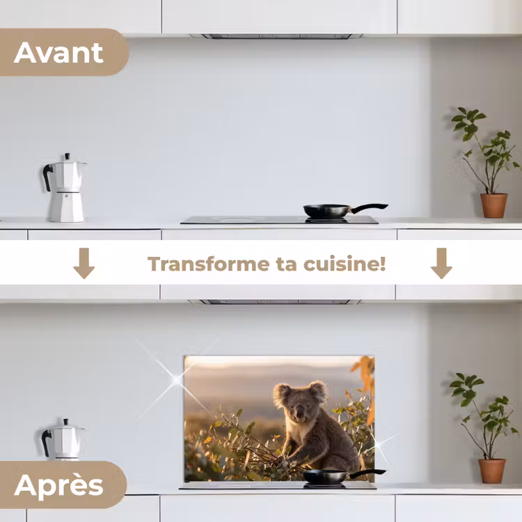 Fond de hotte - Koala - Feuilles - Lumière du matin — 7