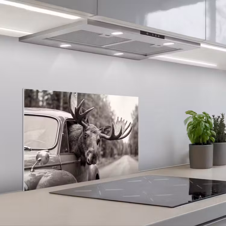 Fond de hotte - Orignal - Voiture - Bois - Noir - Blanc — 1