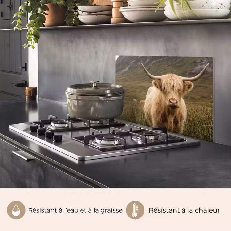 Fond de hotte - Scotch highlander - Bergen - Champ d'herbe — 2