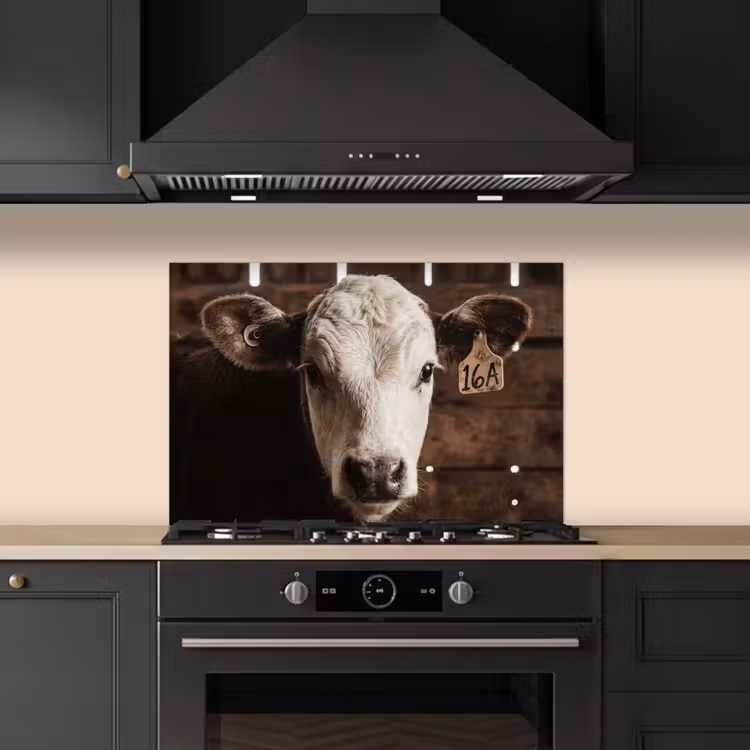 Fond de hotte - Veau - Earmark - Ecurie en bois — 5