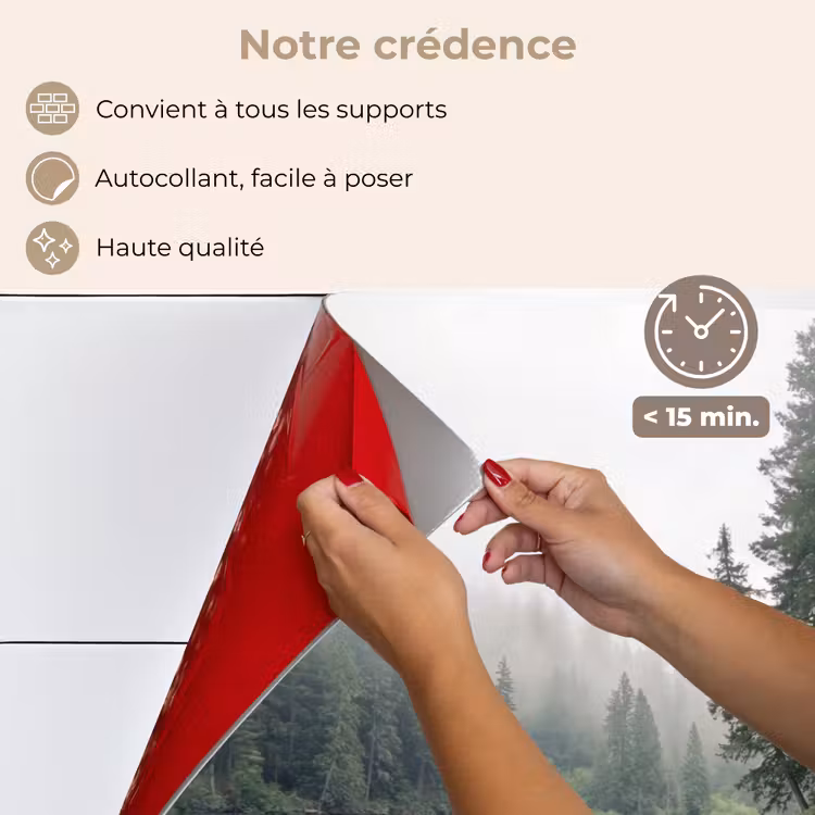 Fond de hotte - Montagnes - Lac - Forêt — 4