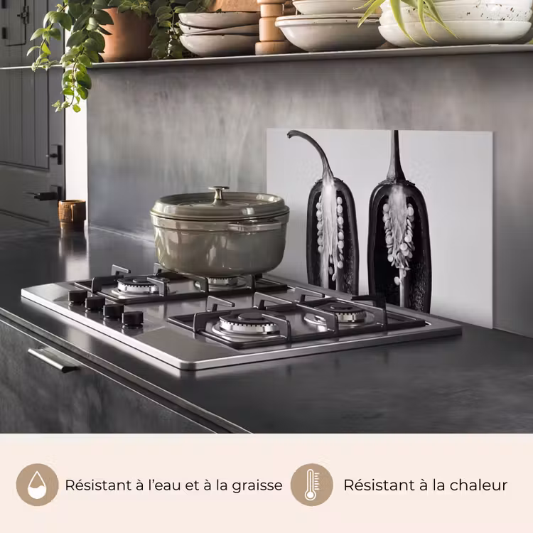 Fond de hotte - Poivrons - Noirs - Blancs - Cadres de semences — 2