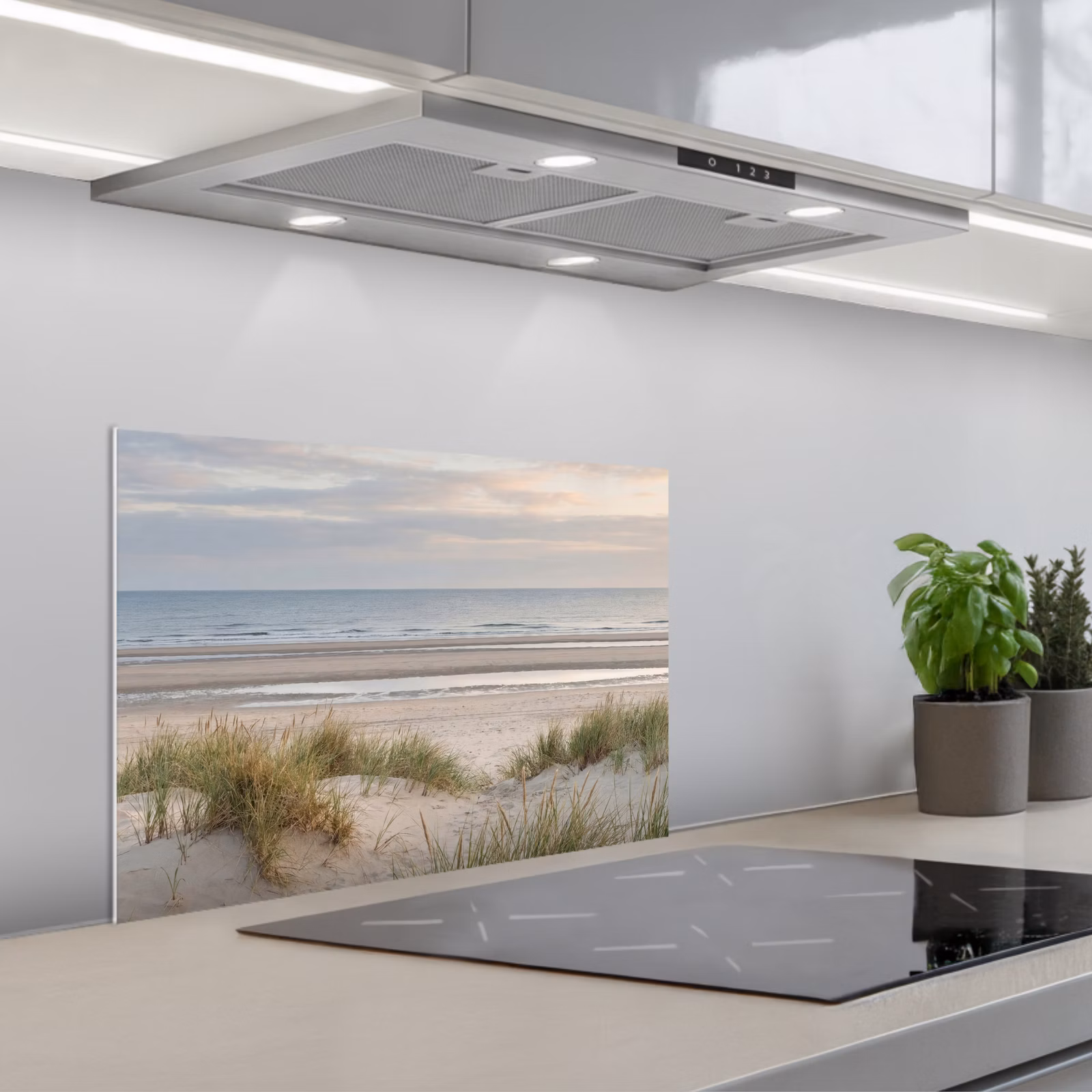 Fond de hotte - Plage de sable - Nuageux - Dunes — 1